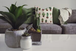 Przestrzeń dla sztuki: galerie domowe i aranżacje artystyczne